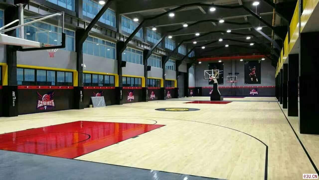 臺灣進(jìn)口舞蹈地膠